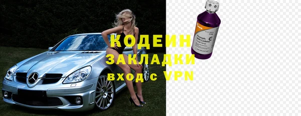сатива Пересвет