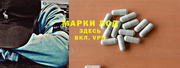 сатива Пересвет