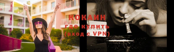 дживик Абаза