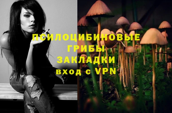 крисы Абинск