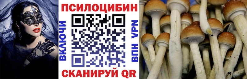 Галлюциногенные грибы GOLDEN TEACHER  Пойковский 